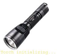 پوستر TorchLight Pro