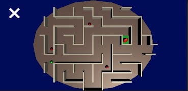 Maze Path 스크린샷 2