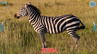 برنامه‌نما Animals for Kids عکس از صفحه