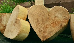 برنامه‌نما Learn Carpentry عکس از صفحه