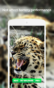 Leopard Wallpaper 스크린샷 3