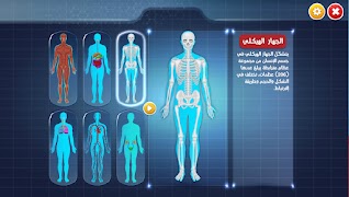 Human Body โปสเตอร์