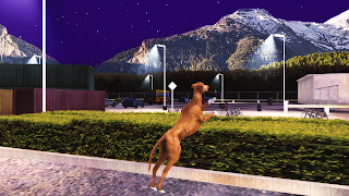 Greyhound Simulator Ekran Görüntüsü 7