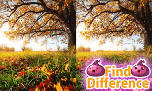 Encuentra las diferencias 9 Poster