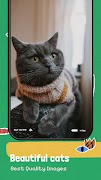 Cute Cat Wallpapers - 4K screenshot 2