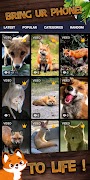 フォックスの背景 スクリーンショット 2
