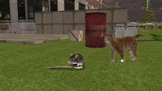 Crazy Cat vs Mouse screenshot 4