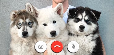 Alejo Igoa Fake Call Prank You 截图 2