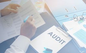 Equinox Iris Auditor screenshot 2