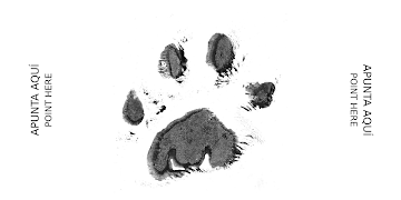 Arcas AR 截圖 3