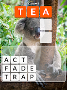 Word Wild syot layar 5