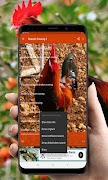 Rooster Crowing Ringtones screenshot 5
