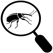 invasapp screenshot 1