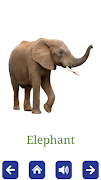 3 Schermata Kids Learning Flashcards