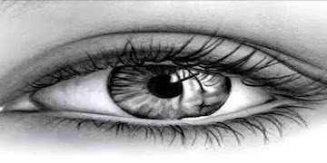 Pencil drawings for beginners screenshot 2