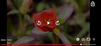 styog player تصوير الشاشة 5