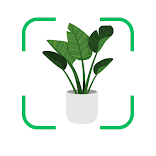 Plantas! Identificar y Cuidar