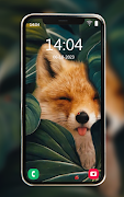 動物壁紙 截圖 5