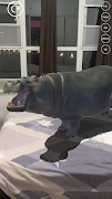 AR Zoo capture d'écran 3