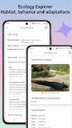 Pengidentifikasi Katak screenshot 3