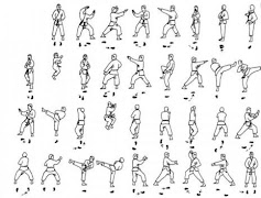 Learning Taekwondo Basic Movement screenshot 3
