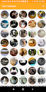 Cat Collector 스크린샷 7
