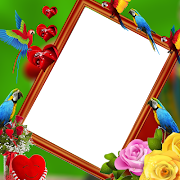 Parrot Insta DP screenshot 4