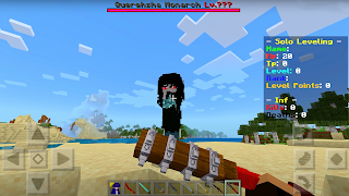 Solo Leveling Mod Minecraft poster