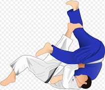 Best Judo Technique screenshot 7