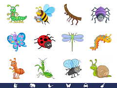 Video Touch - Bugs & Insects screenshot 5