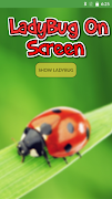 Ladybug on Screen bài đăng