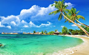 Beach Jigsaw Puzzles screenshot 2