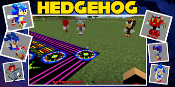 برنامه‌نما Hedgehog mod عکس از صفحه