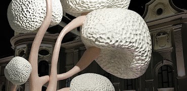SENSUS ART ảnh chụp màn hình 2