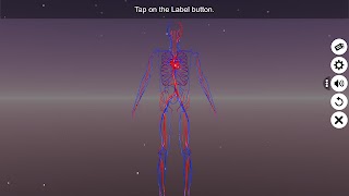 Circulatory system 스크린샷 1