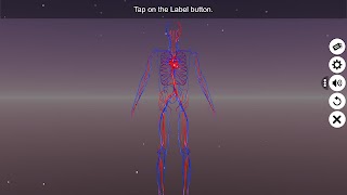 Circulatory system screenshot 1