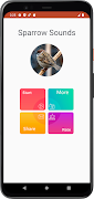 麻雀的声音 截图 1