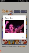 2048 Fox screenshot 6