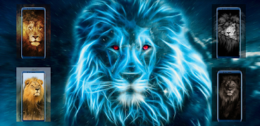 Lion Wallpapers plakat