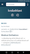 Dictionary - Merriam-Webster screenshot 5