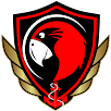 APK HTTP Team VPN
