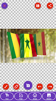 Mali Flag Wallpaper: Flags and screenshot 1