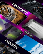 Cool Wallpapers screenshot 3