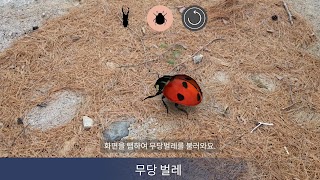 AR Bugs syot layar 7