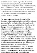 15 Oraciones de Santa Brígida screenshot 5