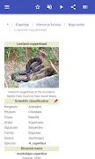 Snakes 截圖 4