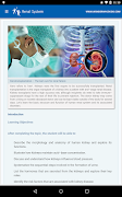 Renal System screenshot 3