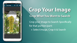 Reverse Image Search screenshot 2