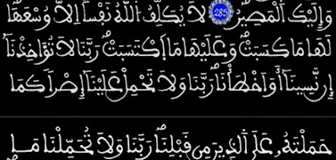 القرآن الكريم - ورش - المسبع ภาพหน้าจอ 3