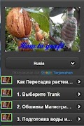 How grafting screenshot 5
